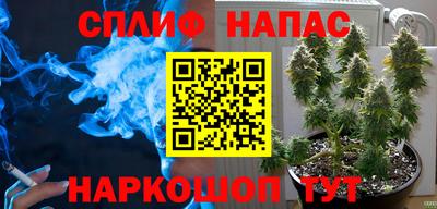 гашик Волжский